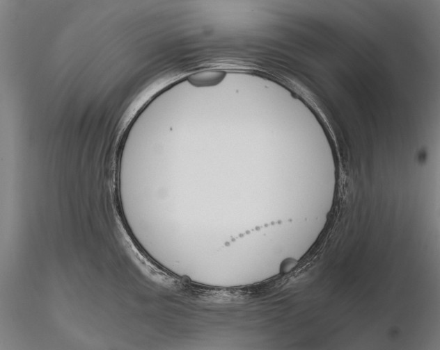 X0000115601195200912011519