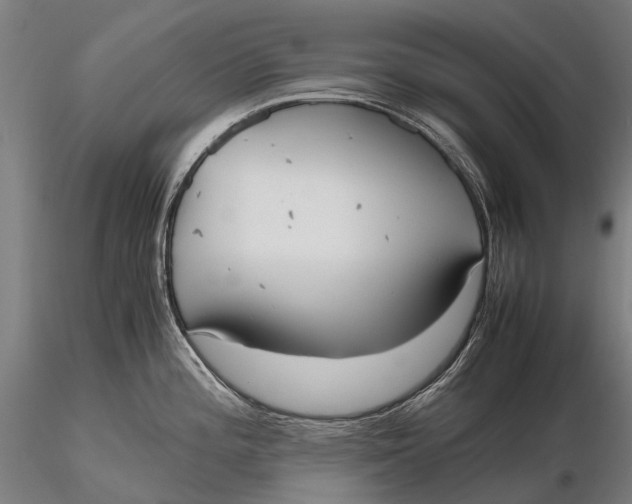 X0000115601196200912011519