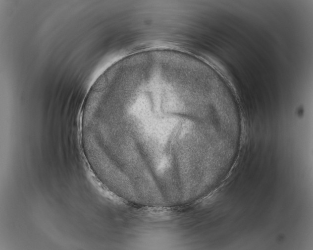 X0000115601198200912011519