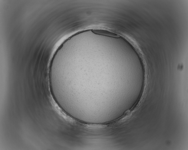 X0000115601200200912011519