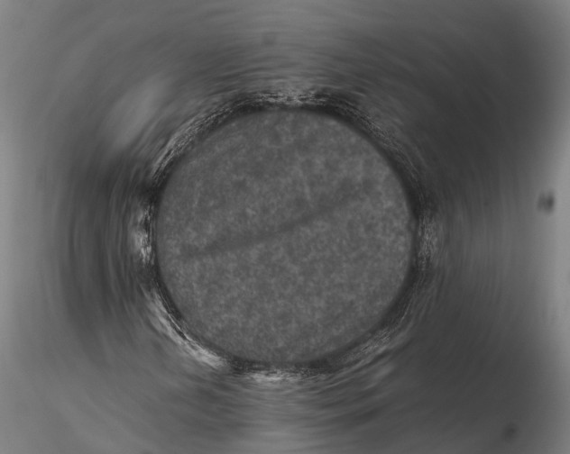 X0000115601202200912011519