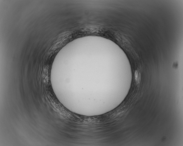 X0000115601203200912011519