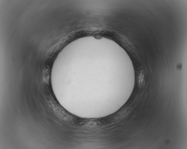 X0000115601204200912011519