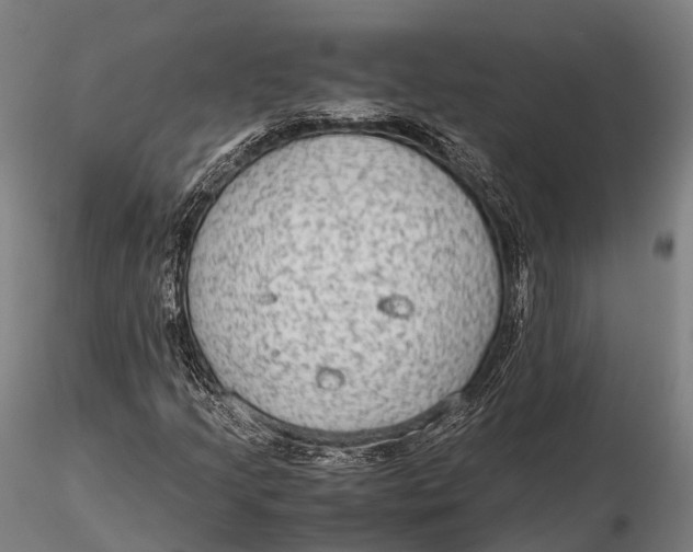 X0000115601205200912011519