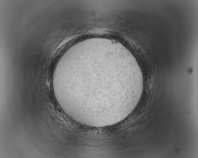 X0000115601206200912011519