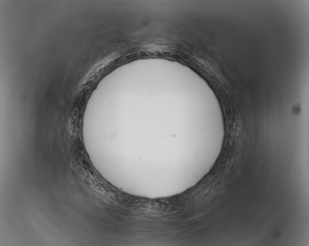 X0000115601207200912011519