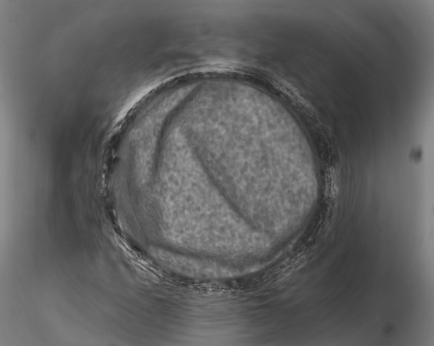 X0000115601208200912011519