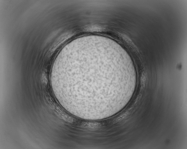 X0000115601209200912011519