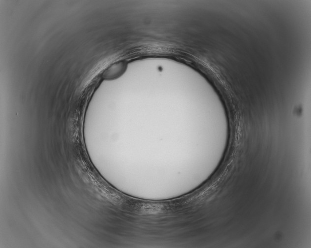 X0000115601211200912011519