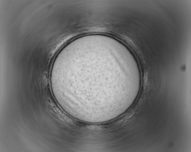 X0000115601212200912011519