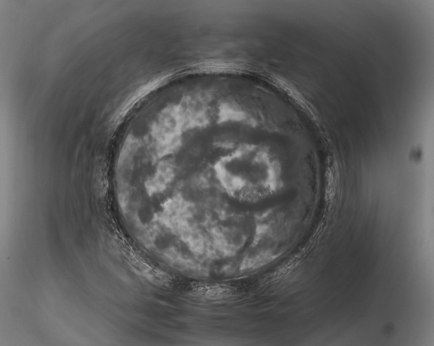 X0000115601213200912011519