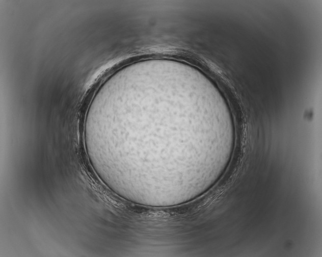 X0000115601214200912011519