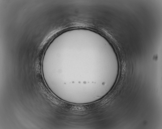 X0000115601215200912011519