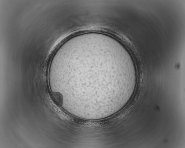 X0000115601216200912011519