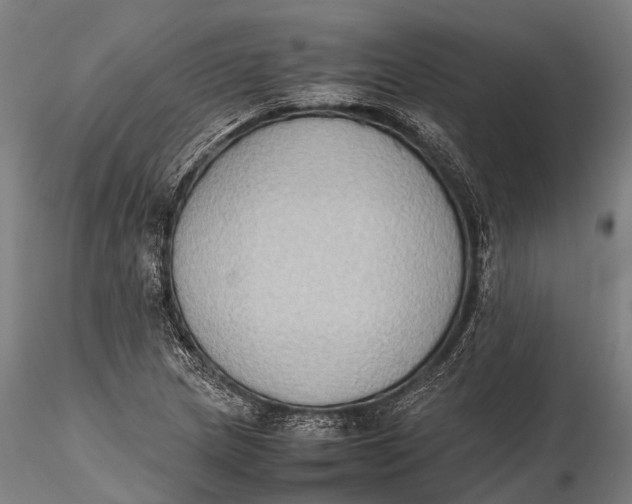 X0000115601217200912011519