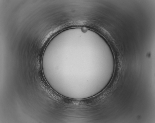 X0000115601218200912011519