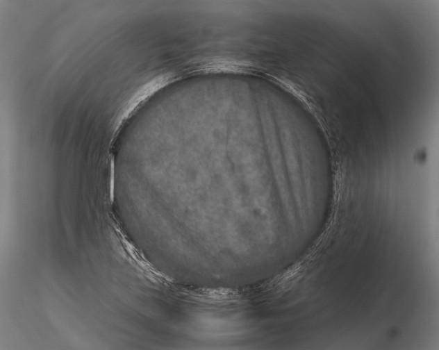 X0000115601219200912011519