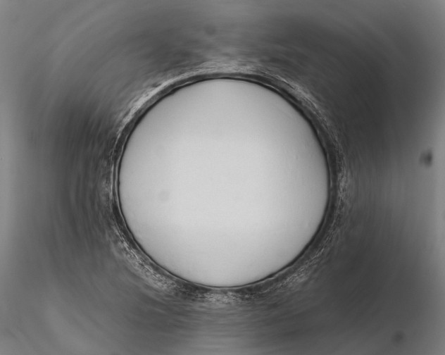 X0000115601220200912011519