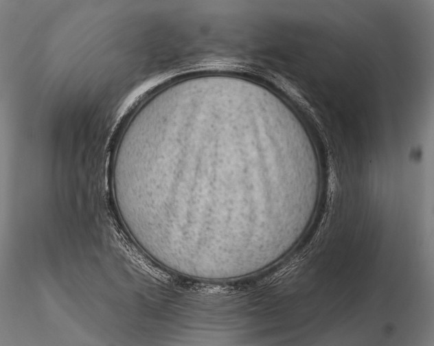 X0000115601222200912011519