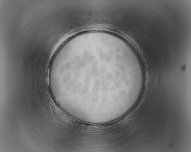 X0000115601224200912011519