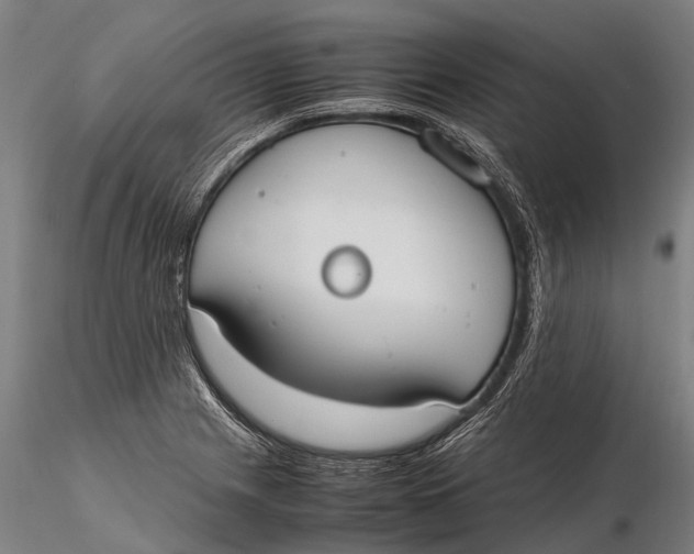 X0000115601225200912011519