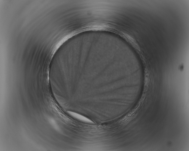 X0000115601226200912011519