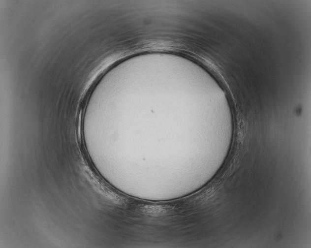 X0000115601227200912011519