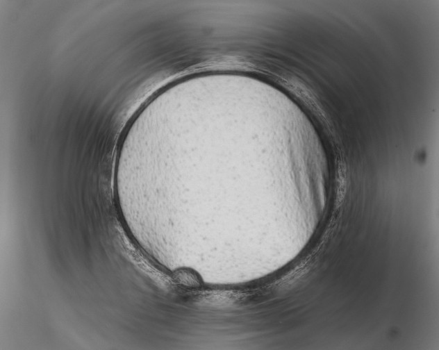 X0000115601228200912011519