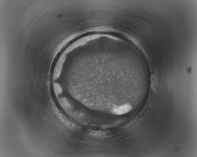 X0000115601229200912011519