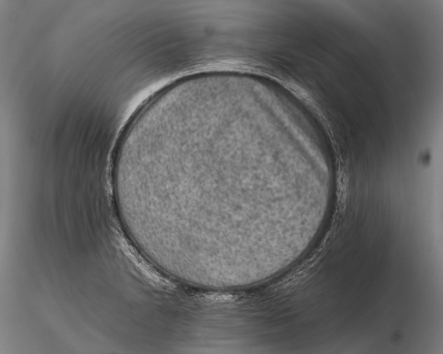 X0000115601230200912011519