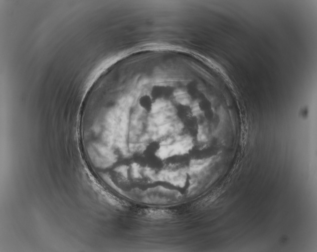 X0000115601231200912011519