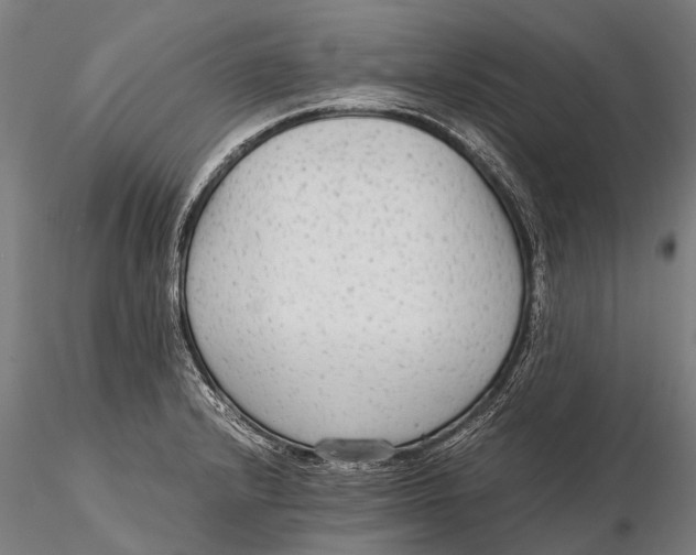 X0000115601232200912011519