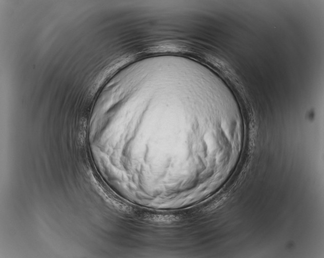 X0000115601233200912011519