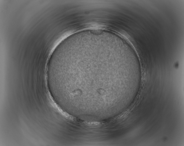 X0000115601235200912011519