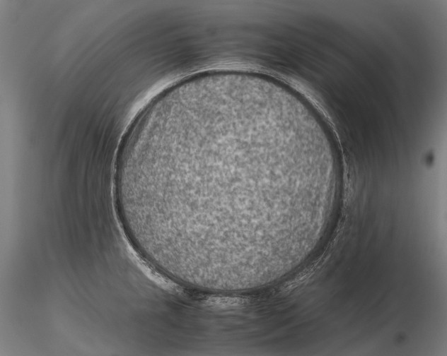 X0000115601237200912011519