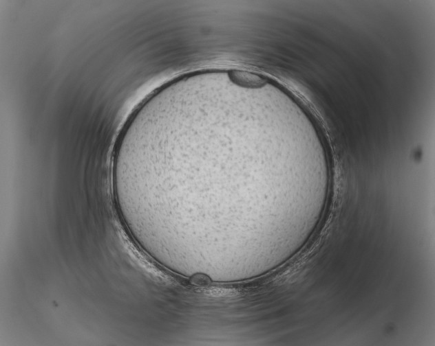 X0000115601238200912011519