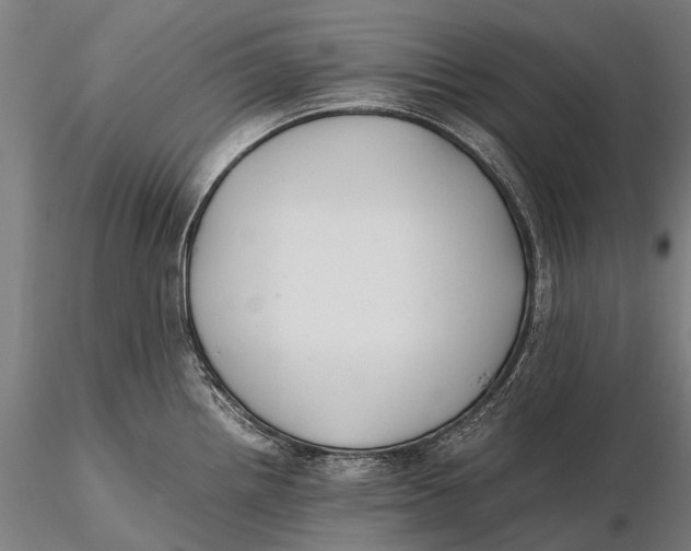 X0000115601242200912011519