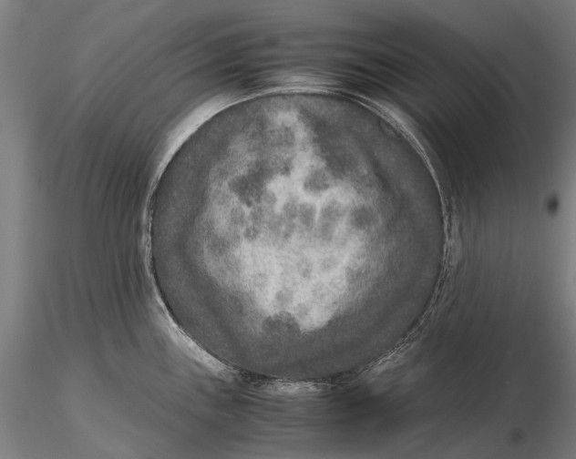 X0000115601243200912011519