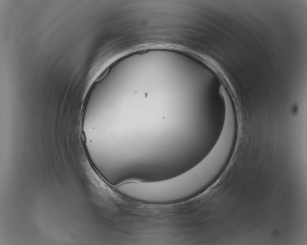 X0000115601244200912011519