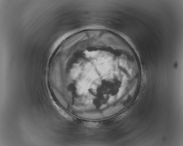 X0000115601245200912011519