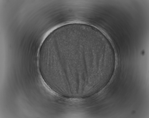 X0000115601246200912011519