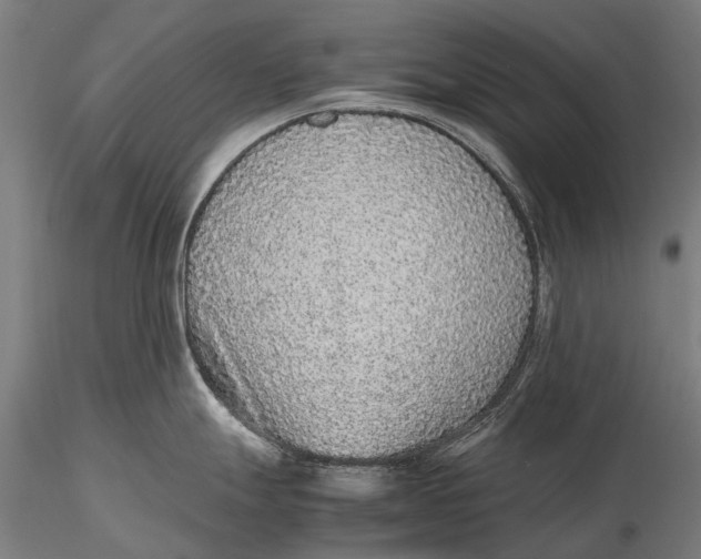 X0000115601247200912011519