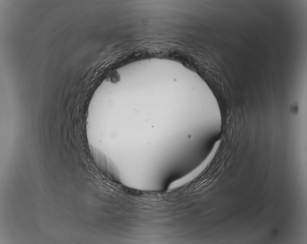 X0000115601249200912011519