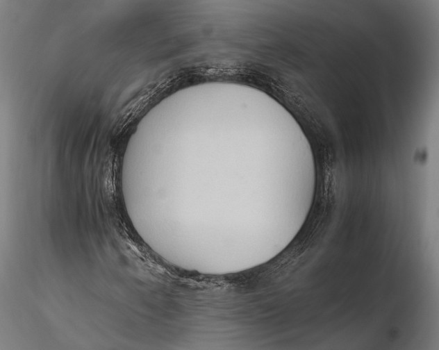 X0000115601250200912011519