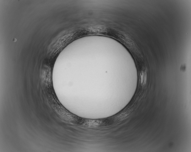 X0000115601251200912011519