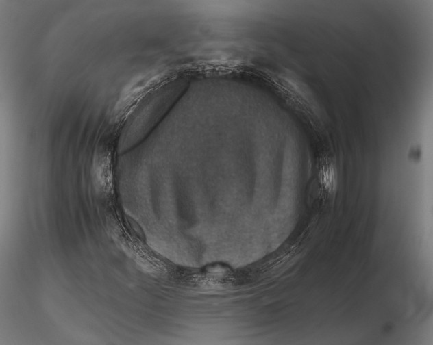 X0000115601252200912011519