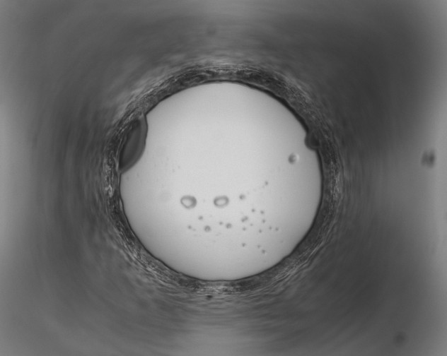 X0000115601253200912011519