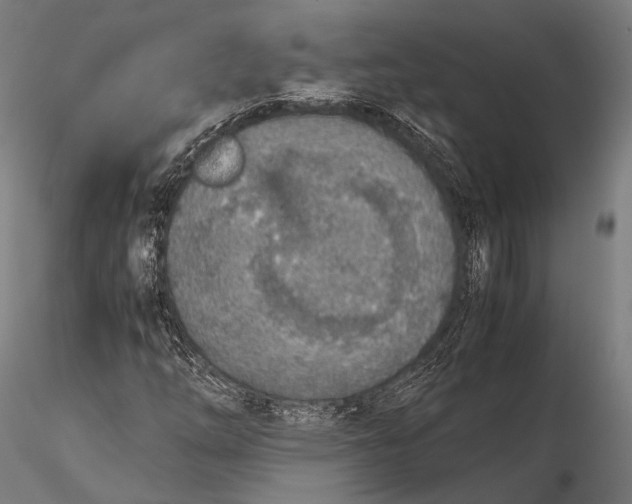 X0000115601254200912011519