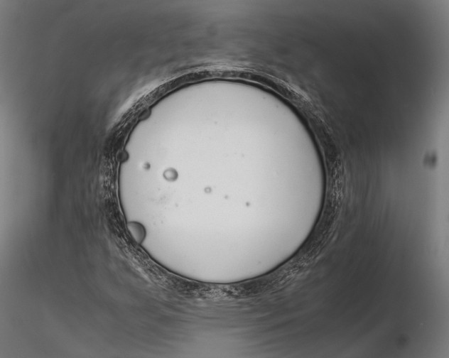 X0000115601255200912011519