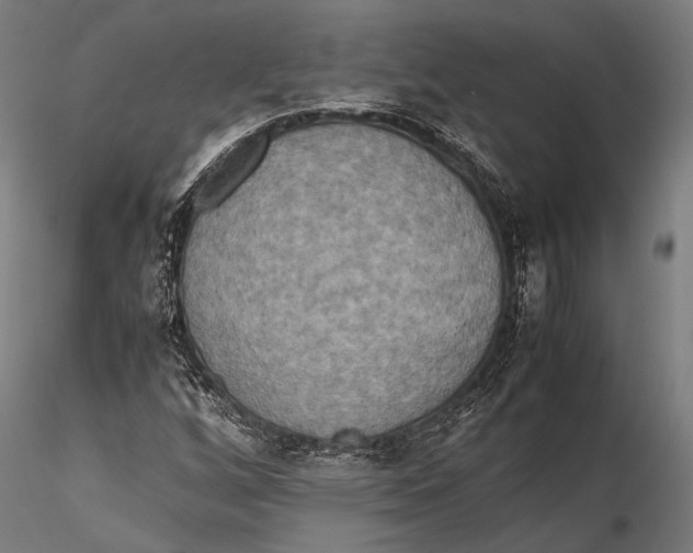 X0000115601256200912011519